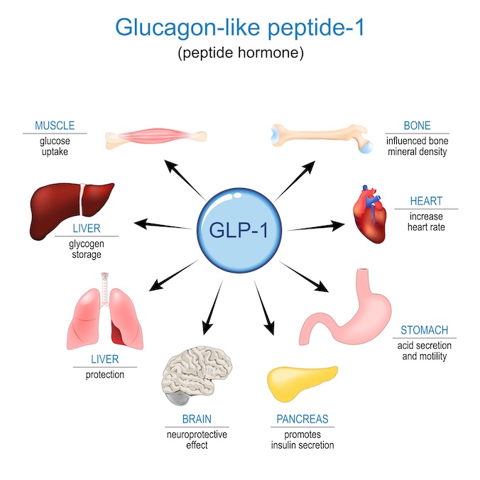 The impact of Glucogen-like-peptide 1 (peptide hormone)